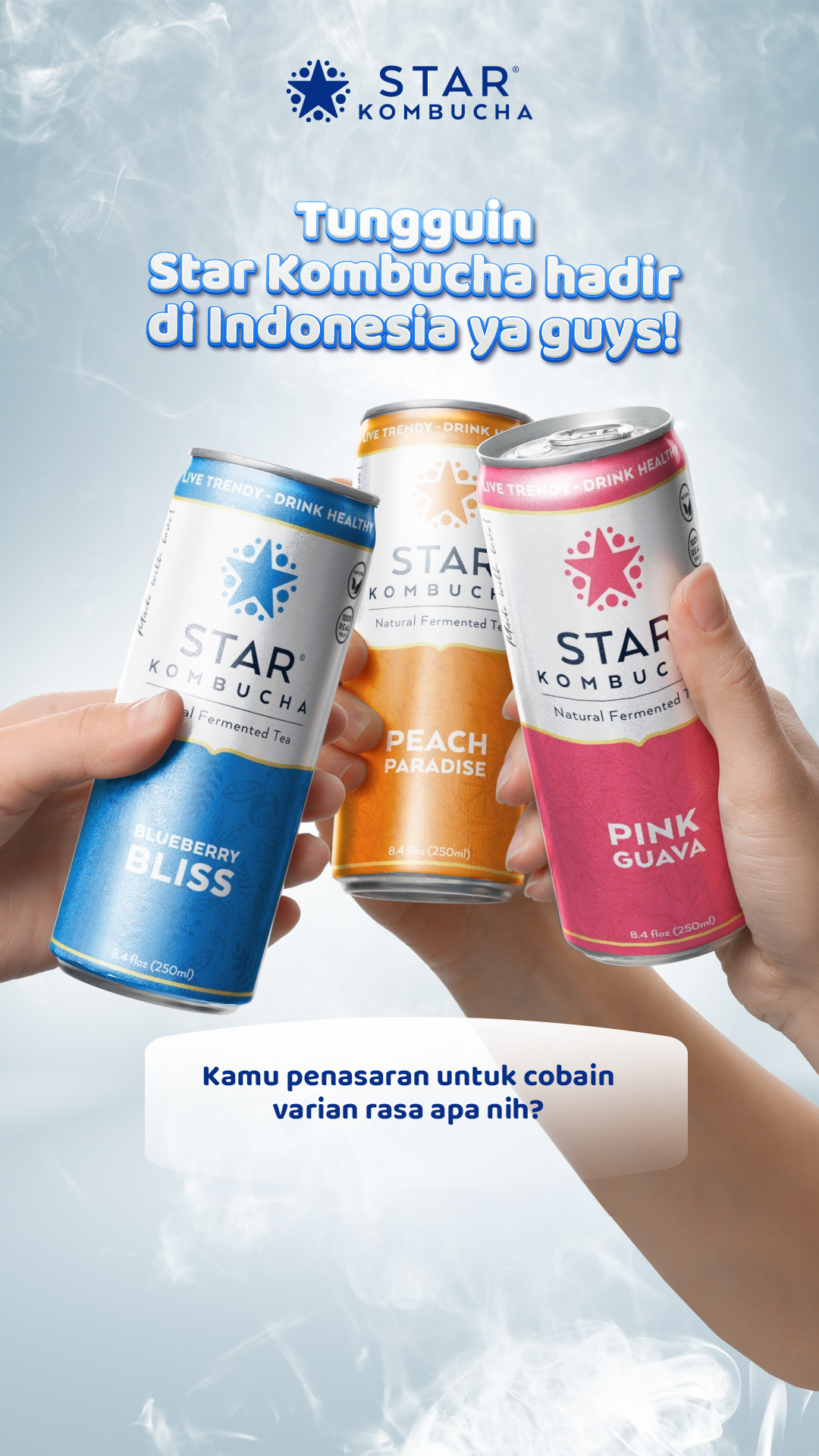 Media 5